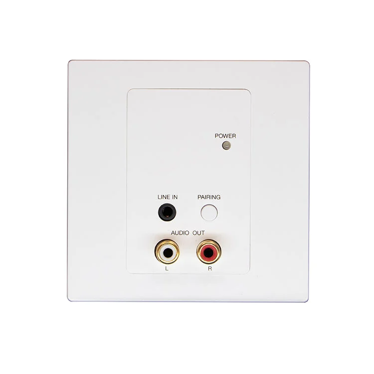 2CH RCA Bluetooth Dante audiopaneel